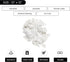 60 Count Pure White Terry Wash Cloth, 12 x 12 Inches, Ideal for Home, Auto, Kitchen, Commercial Grade Rags