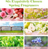 Summer Set, & Spring Fragrance Oils AmaKane Fragrance Oil for Candle Making, Aromatherapy Essential Oils for Diffuser