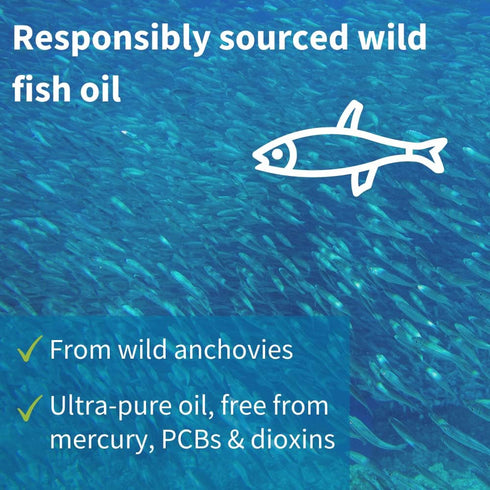 Vegepa Omega 3 Wild Fish Oil & Evening Primrose Oil Blend - 560 mg EPA Plus GLA, 60 Small Softgels