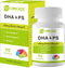 DHA & Omega Softgels for Adults - with Phosphatidylserine, Walnut Oil & Omega-3 - 90 Softgels