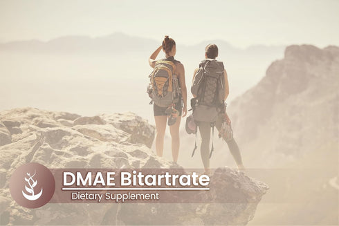 Pure Original Ingredients DMAE Bitartrate, 100 Capsules - Always Pure, No Additives or Fillers