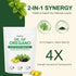 Satnkemi 4X 2-in-1 Immune 300 Oil of Oregano with Black Seed Oil Softgels | Strength Carvacrol & Thymoquinone| Formula