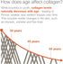 Youtheory Collagen Powder