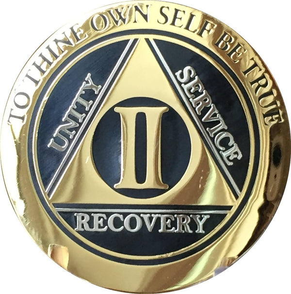 RecoveryChip 2 Year AA Medallion, Elegant Black Gold Silver Bi-Plated Alcoholics Anonymous Chip