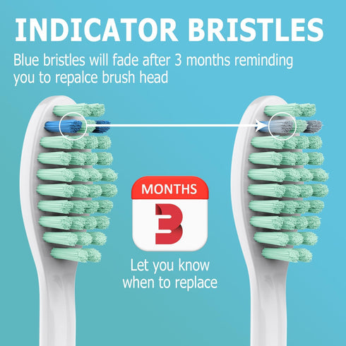 Replacement Toothbrush Heads Compatible with Philips Sonicare E-Series, Multi-Color Rings (6 Packs)