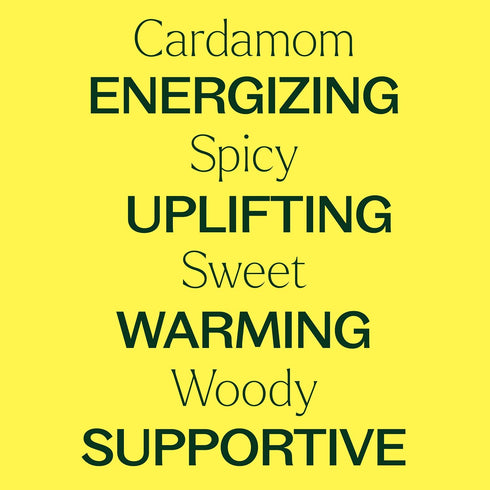 Plant Therapy Cardamom Essential Oil – 5 mL (1/6 oz) 100% Pure, Undiluted, Therapeutic Grade