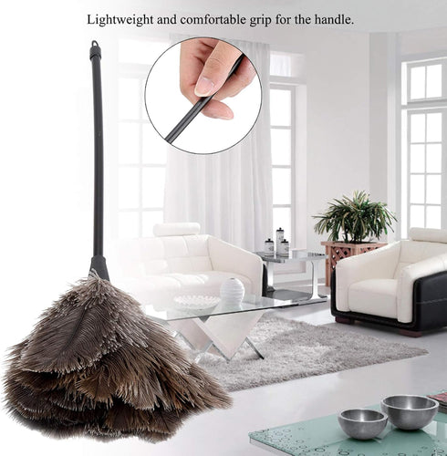 Ostrich Duster: Large Mini Hand Made Washable Supplies for Home, Office, Keyboard, and Books