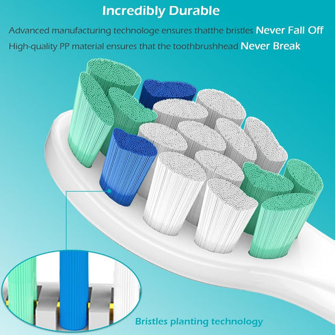 Seerein C2 C1 G2 W2 A3 G3 W3 4100 6100, 10 Pack Compatible with Philips sonicare Replacement Heads, Fit Philips