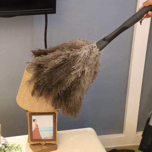 Gray Ostrich Feather Duster, 71 Inch Extendable Pole for Home Cleaning