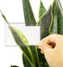 20 Pieces Fresnel Lens Credit Card Magnifier, Pocket Plastic Ruler for Solar Fire Emergency Bushcraft Survival