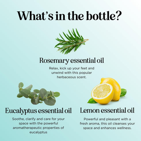 Thieves Myth Pure Essential Oil Blend - Purification Blend for Diffuser of Cinnamon, Eucalyptus, Lemon, Rosemary, Clove