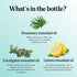 Thieves Myth Pure Essential Oil Blend - Purification Blend for Diffuser of Cinnamon, Eucalyptus, Lemon, Rosemary, Clove
