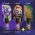 Set, 6 10 ML SALKING Sleep Essential Oils Pure and Natural EssentialOils, Fragrance Oil Scented Oils for Oil Diffusers
