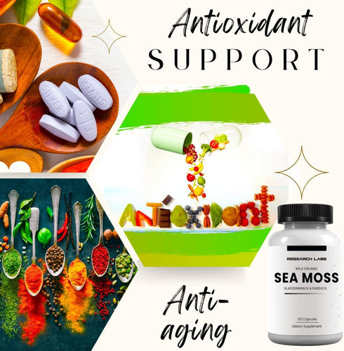 Research Labs 2 Fer 1 Ad Organic Irish Sea Moss Capsules, 240 Total Pills, Raw Wildcrafted Seamoss with Bladderwrack &