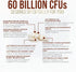 Probiotics 60 Billion CFU - 10 Probiotic Strains, Prebiotics, & Digestive Enzymes - Supports Immune & Digestive Health