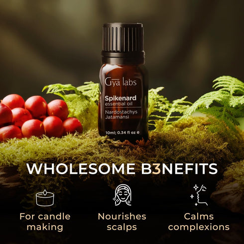 Set Set Spikenard Essential Oil for Diffuser & Cinnamon Cassia Essential Oil - Aromatherapy Grade Essential Oils - Gya