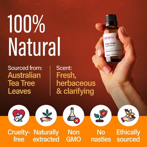 H'ana Tea Tree Essential Oil - 100% Pure and Natural Tea Tree Oil for Skin, Hair, Face, and Aromatherapy