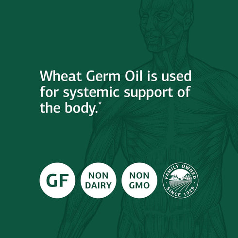 Standard Process Wheat Germ Oil, 60 Softgels - Antioxidant and Immune Support