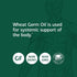 Standard Process Wheat Germ Oil, 60 Softgels - Antioxidant and Immune Support