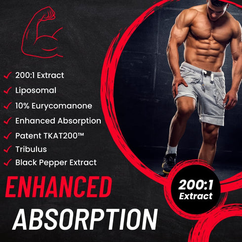 Liposomal Longjack Tongkat Ali Extract Capsules 200x Strength | 200,000 mg | Performance Drive Muscle Mass
