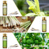 9PCS Premium Quality Essential Oils Set for Soap Making Diffusers, 10ml/0.33fl. oz Fragrance Oils, Long Lasting Scents, Ideal Gift Set for Friends and Families