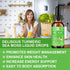 Sea Moss Liquid Drops, Organic Irish Sea Moss Gel with Burdock Root, 2 Fl Oz for Immune, Joint, Detox Support