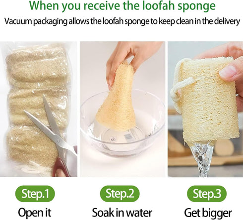 Natural Loofah Sponge, Organic Bath Loofah Pack, Exfoliating Body Scrubber for Women and Men, 6 Pack Shower Loofas