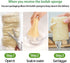 Natural Loofah Sponge, Organic Bath Loofah Pack, Exfoliating Body Scrubber for Women and Men, 6 Pack Shower Loofas
