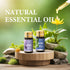 Set, Set 42x5 ML (0.17oz) FUHITIM Essential Oil Premium Essential Oils Gift for Diffuser, DIY Candle and Soap Making