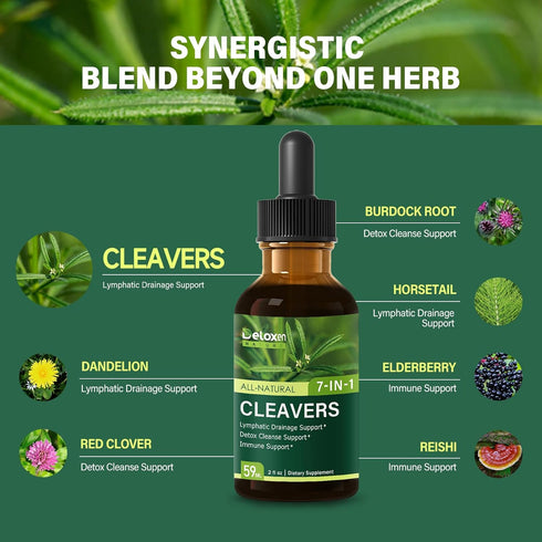 Horsetail. Immune Reishi.2 oz Cleavers Herb Extract Organic Drops for Lymphatic Drainage Support, Detox Cleanse Support
