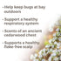 Plant Therapy Cedarwood Atlas Essential Oil 100% Pure, Undiluted, Natural Aromatherapy, Therapeutic Grade 10 mL (1/3 oz)