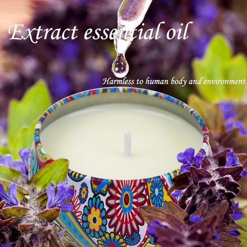 2 Pack Scented Candles, 2.5 oz Aromatherapy Candles - Natural Soy Candles with Floral Scents for Travel, Spa, Home Decor