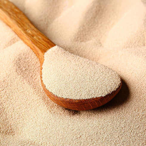 Brewer's Yeast (2 lb) by PURE ORIGINAL INGREDIENTS - Always Pure, Non GMO, No Fillers or Additives