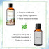 Coconut & Vanilla Fragrance Oils, 3.38 FL OZ, Essential Oils for Diffusers, DIY Candle and Soap Making, 100ml