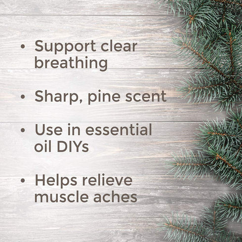 Plant Therapy Fir Needle Essential Oil 30 mL (1 oz) 100% Pure, Undiluted, Therapeutic Grade