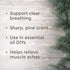 Plant Therapy Fir Needle Essential Oil 30 mL (1 oz) 100% Pure, Undiluted, Therapeutic Grade