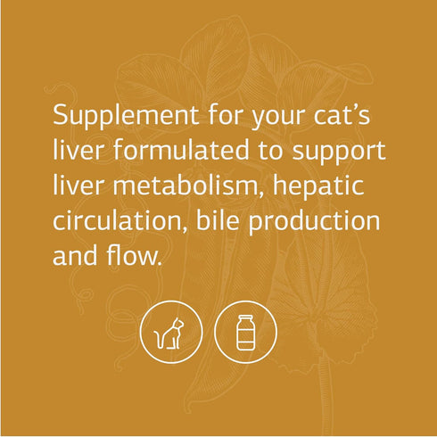Standard Process Feline Hepatic Support - Cat Health Supplement for Liver Support, 90 tablets