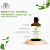 Japanese Peppermint Essential Oil with Premium Dropper - 100% Pure Natural Oil for Aromatherapy (118 ml)