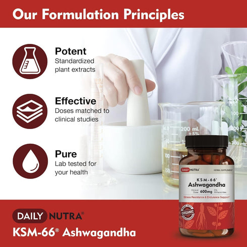 KSM-66 600mg 5% (60 DailyNutra Ashwagandha Organic Root Extract - High Potency Supplement with Withanolides | Relieves