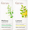 Melissa Oil for Herbaceous Scent & Lemon Essential Oil for Diffuser Set