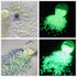 PrettyG 6 Boxes Set Luminous Nail Art Glitter, Glow in The Dark 3D Sparky Moon Butterfly Flower Stickers for DIY Craft