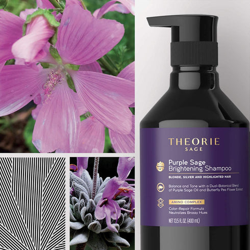 Theorie Purple Sage Brightening Shampoo, 13.53 Fl Oz, Balance, Tone & Brighten Blonde, Silver, Grey Hair