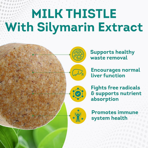 PurePremium Milk Thistle Supplement with Silymarin Extract, 450MG Complex Liver Support, 120 Tablets