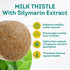 PurePremium Milk Thistle Supplement with Silymarin Extract, 450MG Complex Liver Support, 120 Tablets