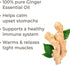Plant Therapy Ginger Steam Distilled Essential Oil 10 mL (1/3 oz) 100% Pure, Undiluted, Natural Aromatherapy