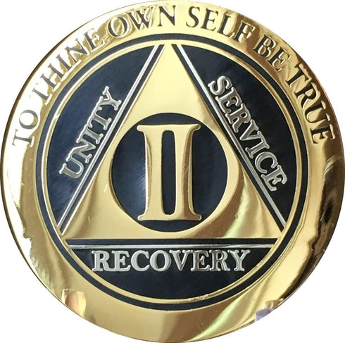RecoveryChip 2 Year AA Medallion, Elegant Black Gold Silver Bi-Plated Alcoholics Anonymous Chip