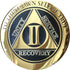 RecoveryChip 2 Year AA Medallion, Elegant Black Gold Silver Bi-Plated Alcoholics Anonymous Chip