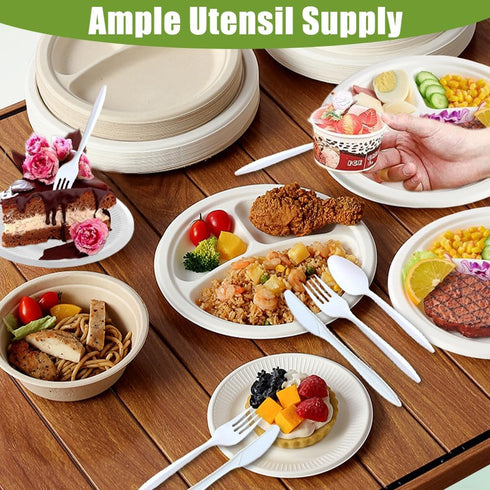 Set 91 Pcs,Set 10 3 20 20 20 Knives,1 Ouliget Disposable Dinnerware Picnic Party Supplies of Compartment Paper