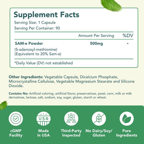 Healthy Way 500mg SAM-e Supplement - High Strength S-Adenosyl-L-Methionine Capsules for Joint, Brain, Liver, Mood