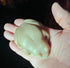 WFG WATERFALL GLEN SOAP COMPANY, LLC Nathan Frog Soap, Honeysuckle Natural Vegan Bath Soap with Shea Butter
